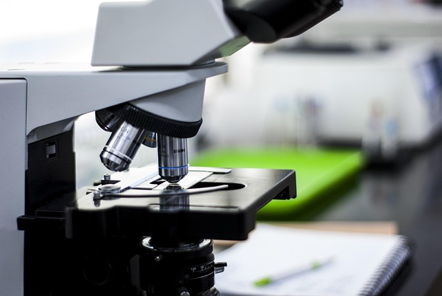 適用于聚氨酯涂料和膠黏劑的新癸酸鋅催化劑,提升初期強(qiáng)度